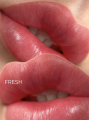 French Touch iColor3.png