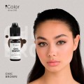 CHIC BROWN 2.JPG