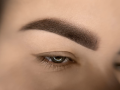 Chic Brown iColor4.png