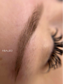 Almond Blond iColor4.png