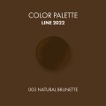 NATURAL_BRUNETTE_ICOLOR.JPG