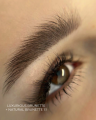 Natural Brunette iColor7.png