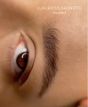 Luxurious Brunette iColor10.png