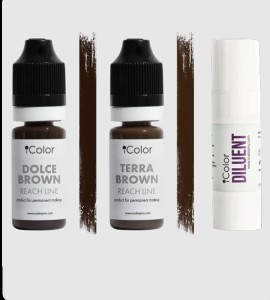 SET 1 DOLCE BROWN+TERRA BROWN+DILUENT iColor